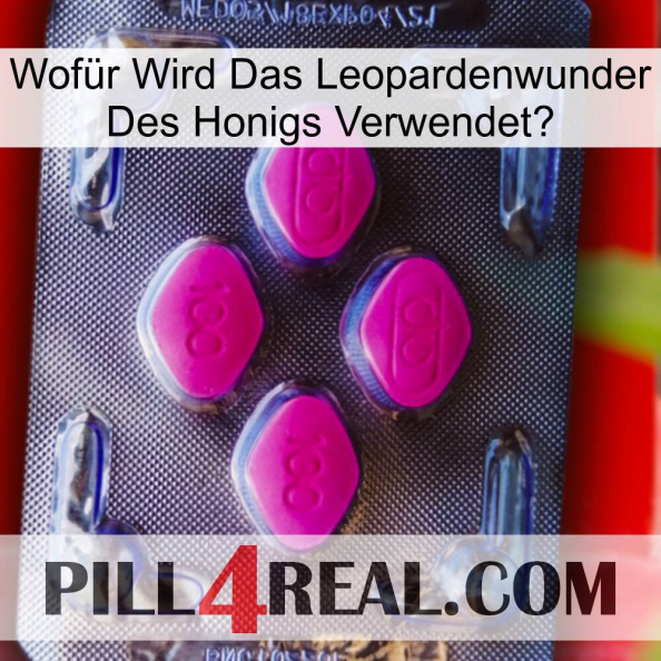 Wofür Wird Das Leopardenwunder Des Honigs Verwendet 02